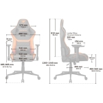 Cougar 美洲獅 Armor One V2 人體工學高背電競椅 (橙黑色)